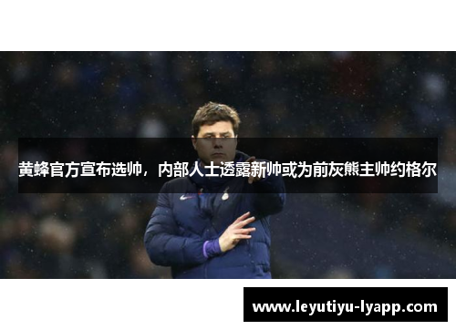 黄蜂官方宣布选帅，内部人士透露新帅或为前灰熊主帅约格尔