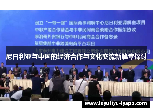 尼日利亚与中国的经济合作与文化交流新篇章探讨