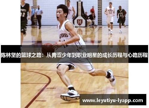 陈林坚的篮球之路：从青涩少年到职业明星的成长历程与心路历程